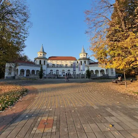 Ljuba Διαμέρισμα Banja Koviljača